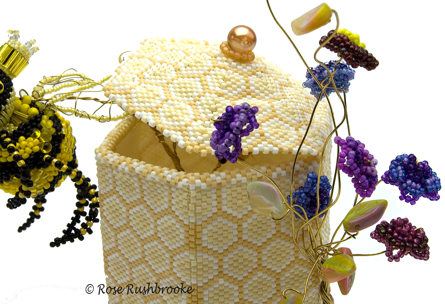 View of hive by Rose Rushbrooke. Image copyright © Rose Rushbrooke.